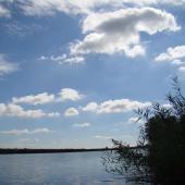 Tisza